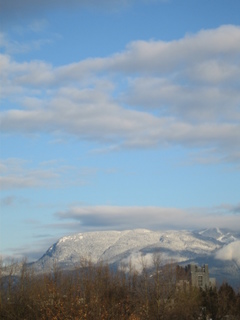 View from roof of Hennings Building, UBC